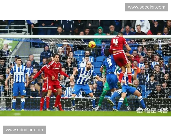 最新足球赛事直播免费在线观看入口全网高清无广告观看指南